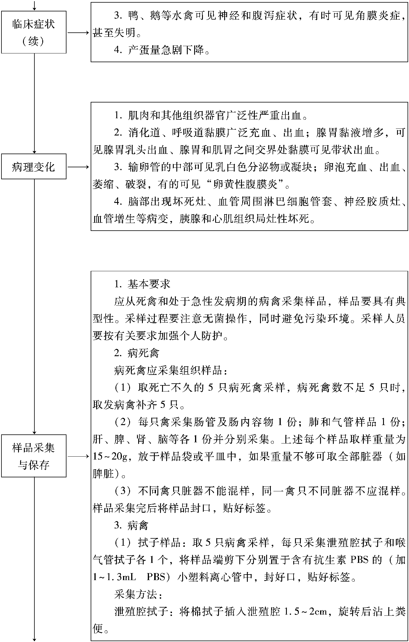 二、高致病性禽流感